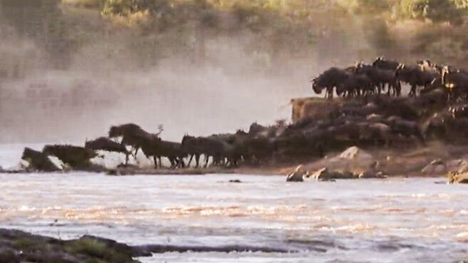 Trek: Spy on the Wildebeest season 1 episode 2 on Discovery Plus