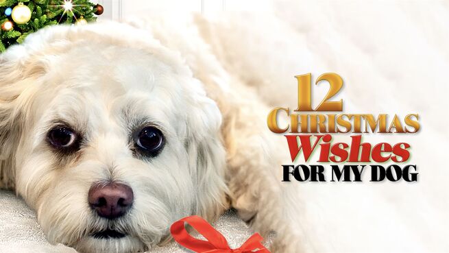12 Christmas Wishes For My Dog on LionsGate Play