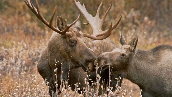 Earth's Great Rivers season 2 episode 3 on Sony LIV