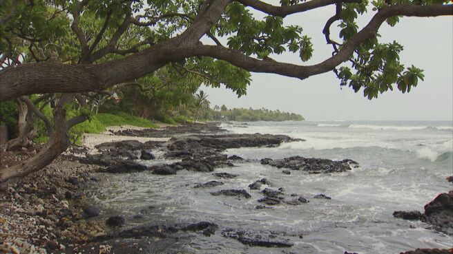 Hawaii Life season 1 episode 15 on Discovery Plus