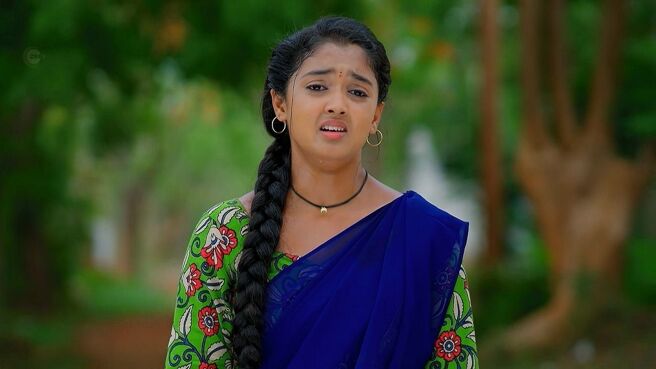 Meghasandesha season 1 episode 33 on Zee5