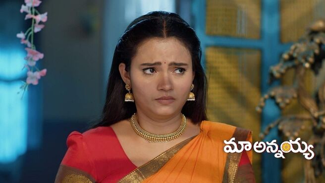 Maa Annayya season 1 episode 17 on Zee5
