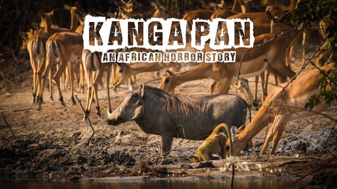 Kanga Pan: An African Horror Story on Discovery Plus