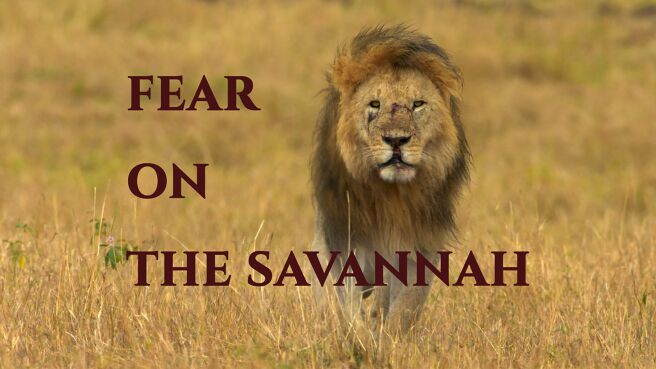 Fear on the Savannah on Discovery Plus