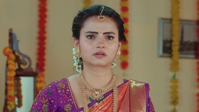 Maa Annayya season 1 episode 21 on Zee5