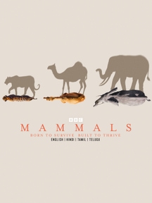 Mammals on Discovery Plus