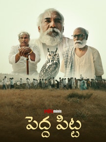 Pedda Pitta on ETV Win