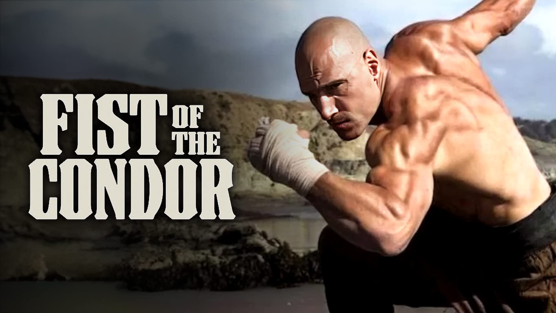 The Fist of The Condor on undefined