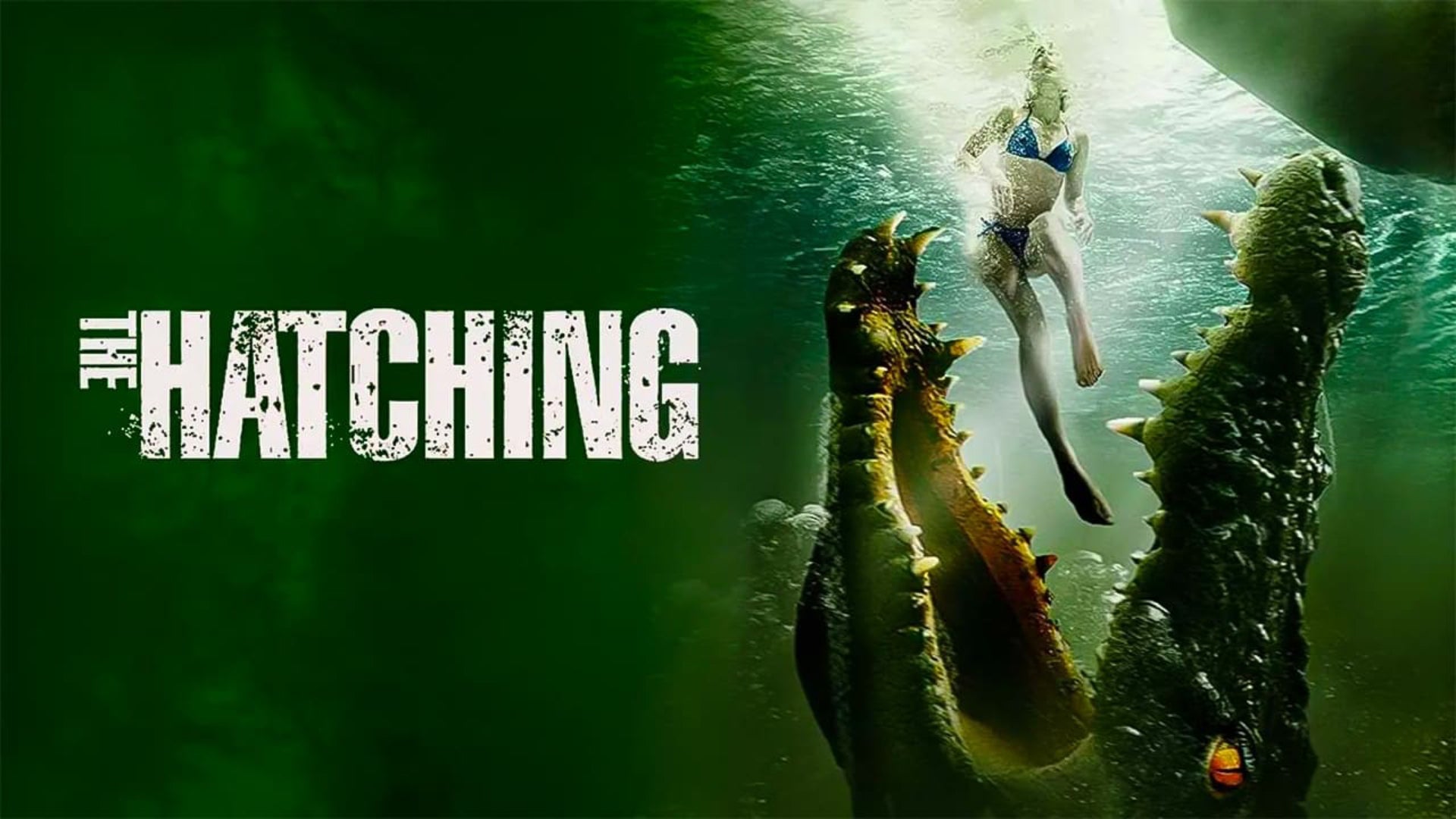 The Hatching on undefined