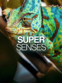 Super Senses on Discovery Plus