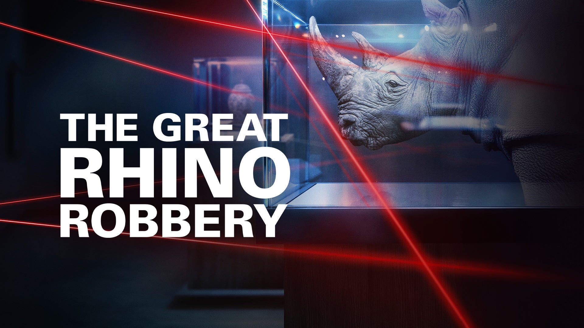 The Great Rhino Robbery on Discovery Plus