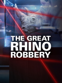 The Great Rhino Robbery on Discovery Plus
