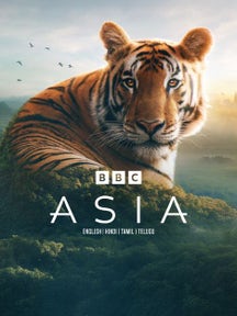 Asia on Discovery Plus