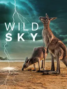 Wild Sky on Discovery Plus