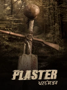 Plaster on Chaupal