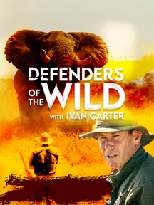 Defenders of The Wild on Discovery Plus