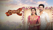 Pelli Sandhadi season 1 episode 9 on Sun NXT