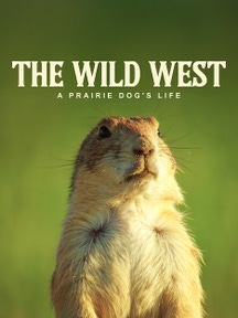 The Wild West: A Prairie Dog's Life on Discovery Plus