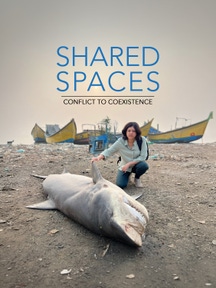 Shared Spaces on Discovery Plus