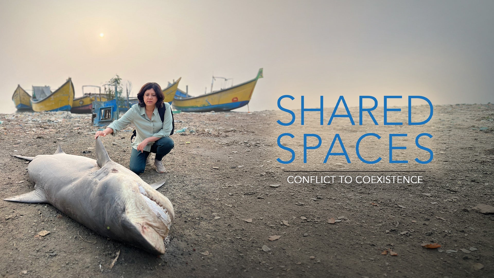 Shared Spaces on Discovery Plus