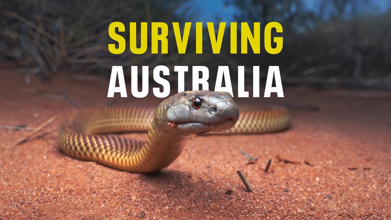 Surviving Australia on Discovery Plus