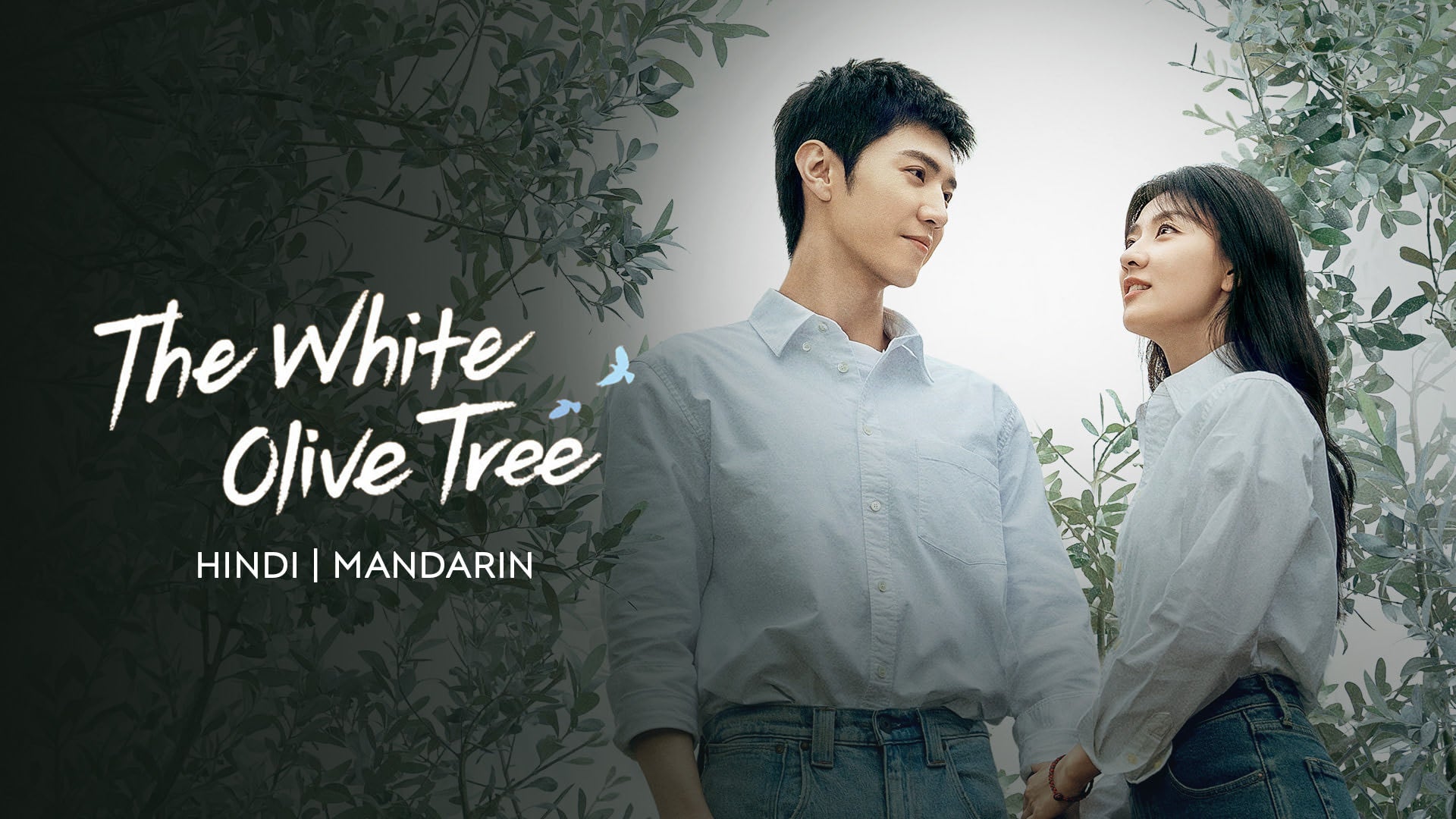 The White Olive Tree on undefined