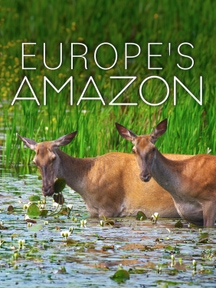 Europe's Amazon on Discovery Plus