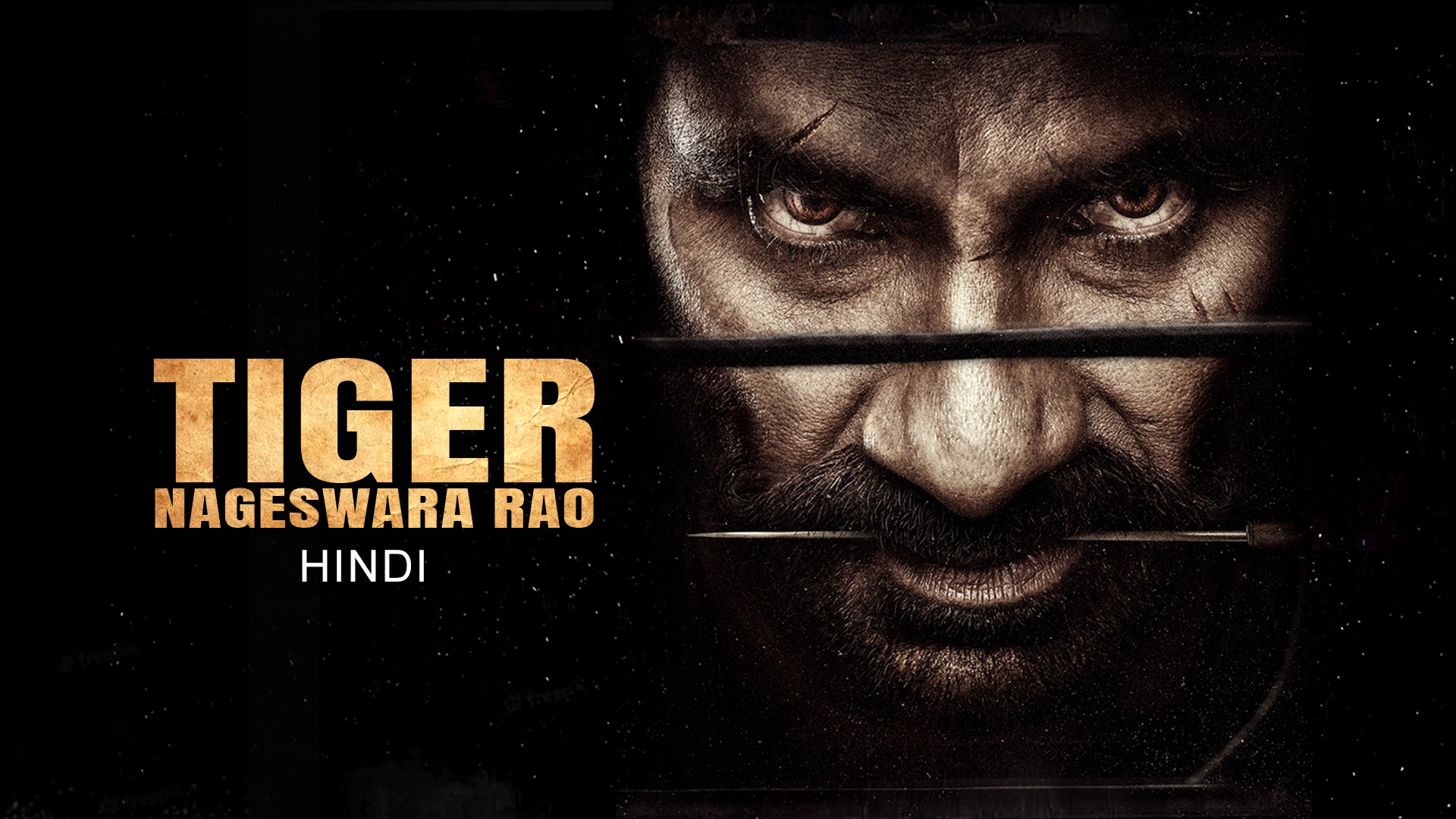 Tiger Nageswara Rao on undefined
