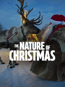 The Nature of Christmas on Discovery Plus