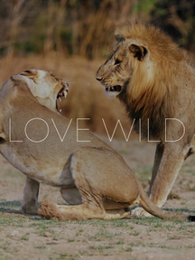 Love Wild on Discovery Plus