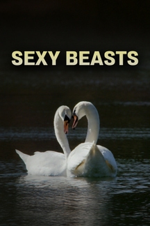 Sexy Beasts on Discovery Plus