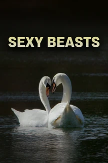 Sexy Beasts on Discovery Plus