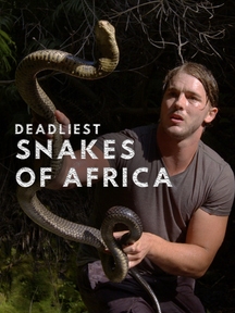 Deadliest Snakes Of South Africa on Discovery Plus