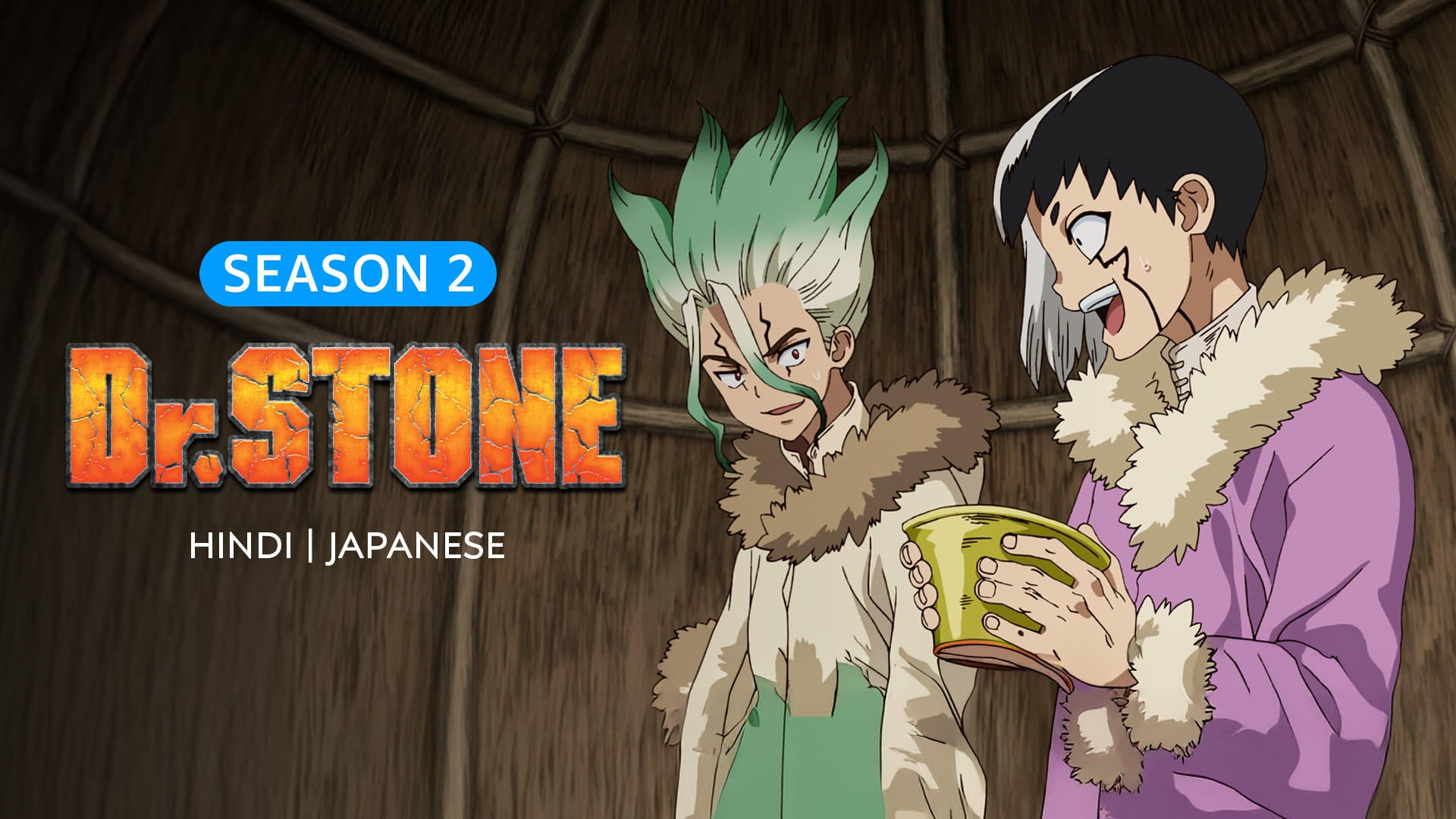 Dr. Stone on undefined