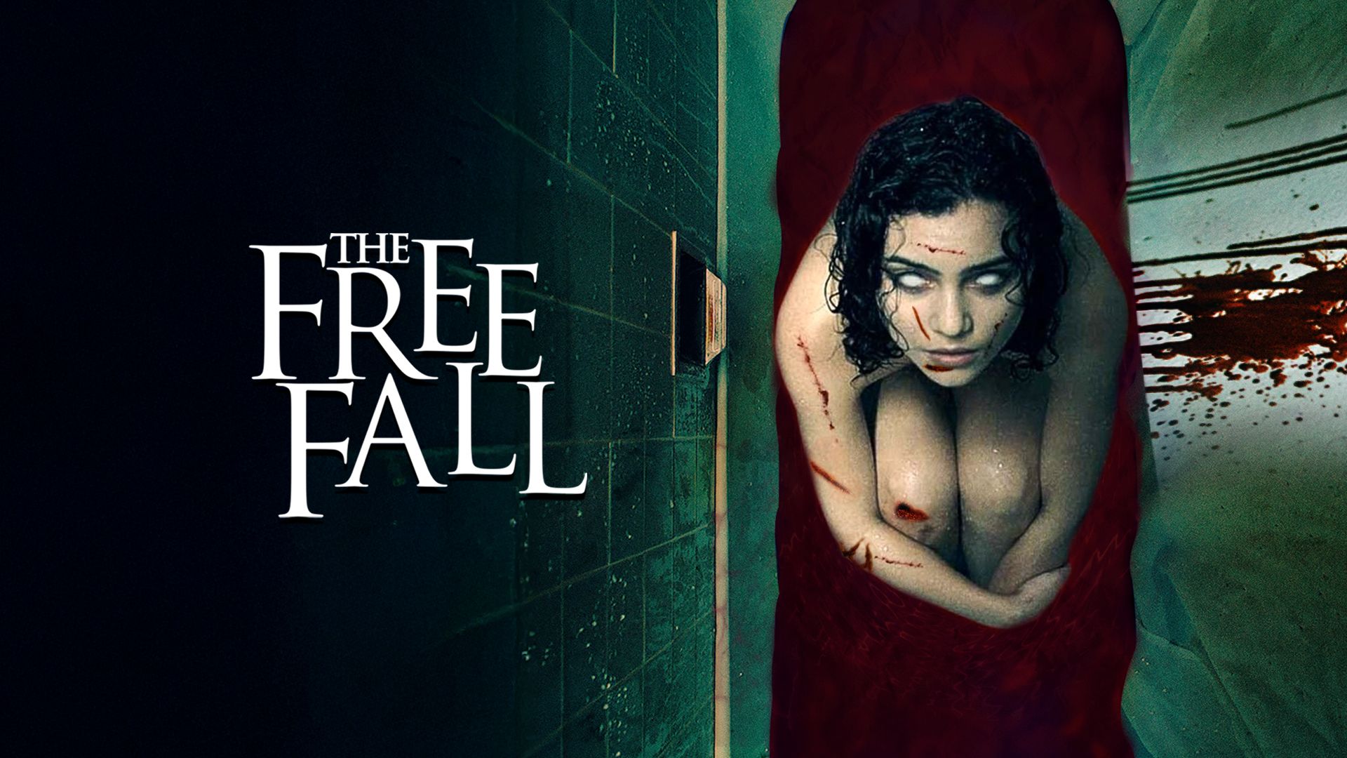 The Free Fall on undefined