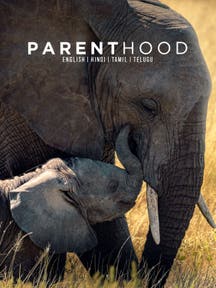 Parenthood on Discovery Plus