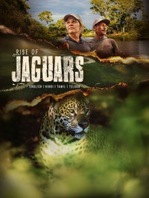 Rise of Jaguars on Discovery Plus