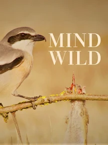 Mind Wild on Discovery Plus