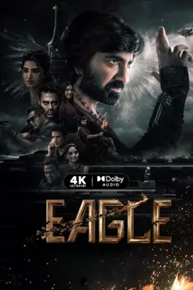Eagle on Sun NXT