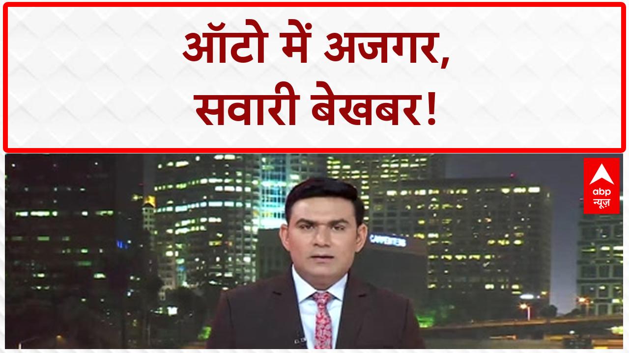 SHOCKING VIDEO: ऑटो में सवारियों के पीछे बैठा था विशाल अजगर, देखते ही उड़े होश! on undefined