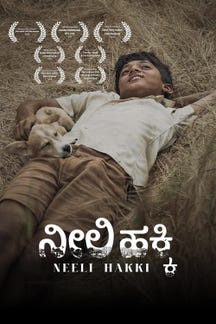 Neeli Hakki on Sun NXT