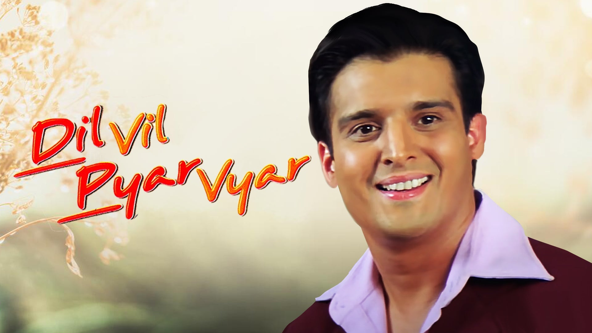 Dil Vil Pyar Vyar on undefined