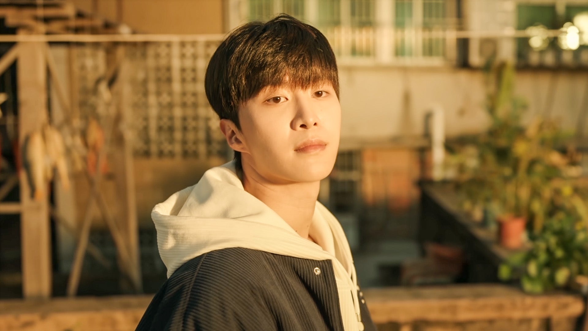 Love Endures season 1 episode 24 on undefined