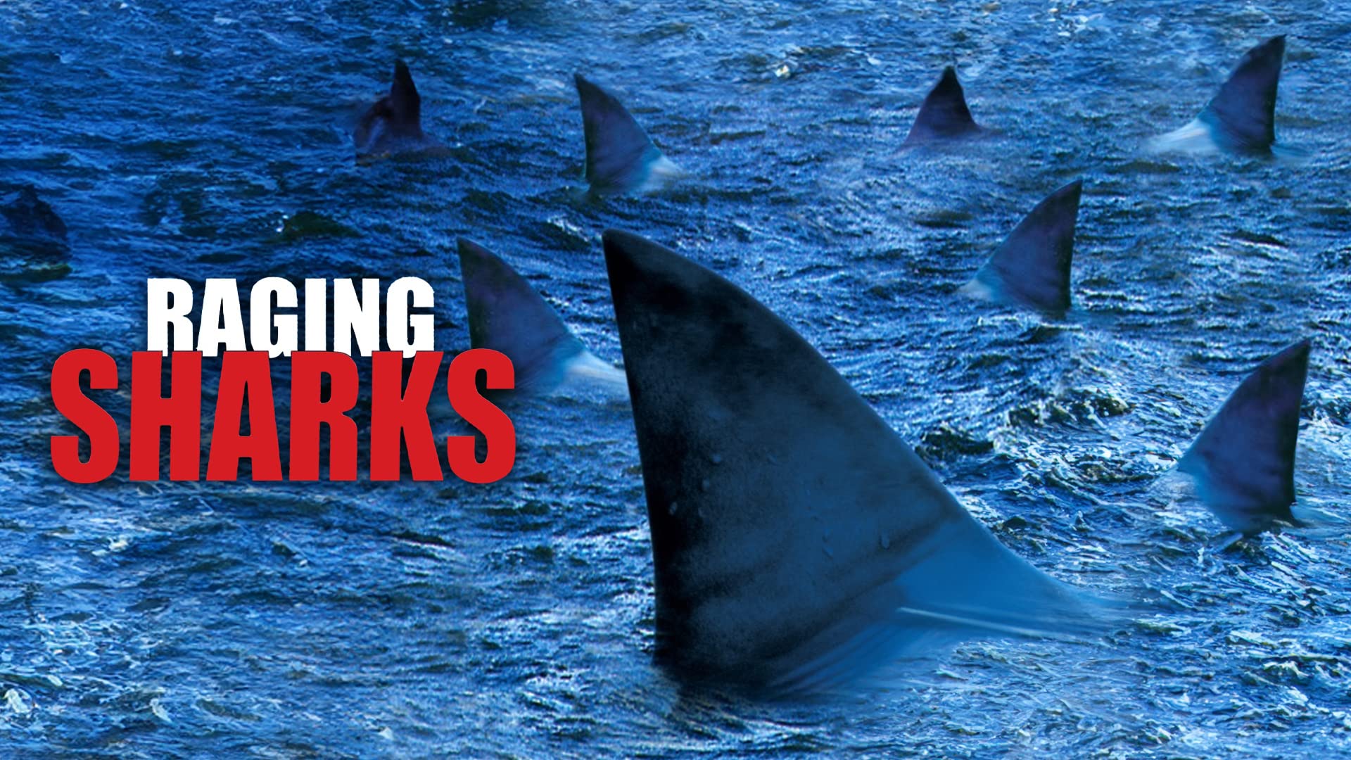 Raging Sharks on undefined