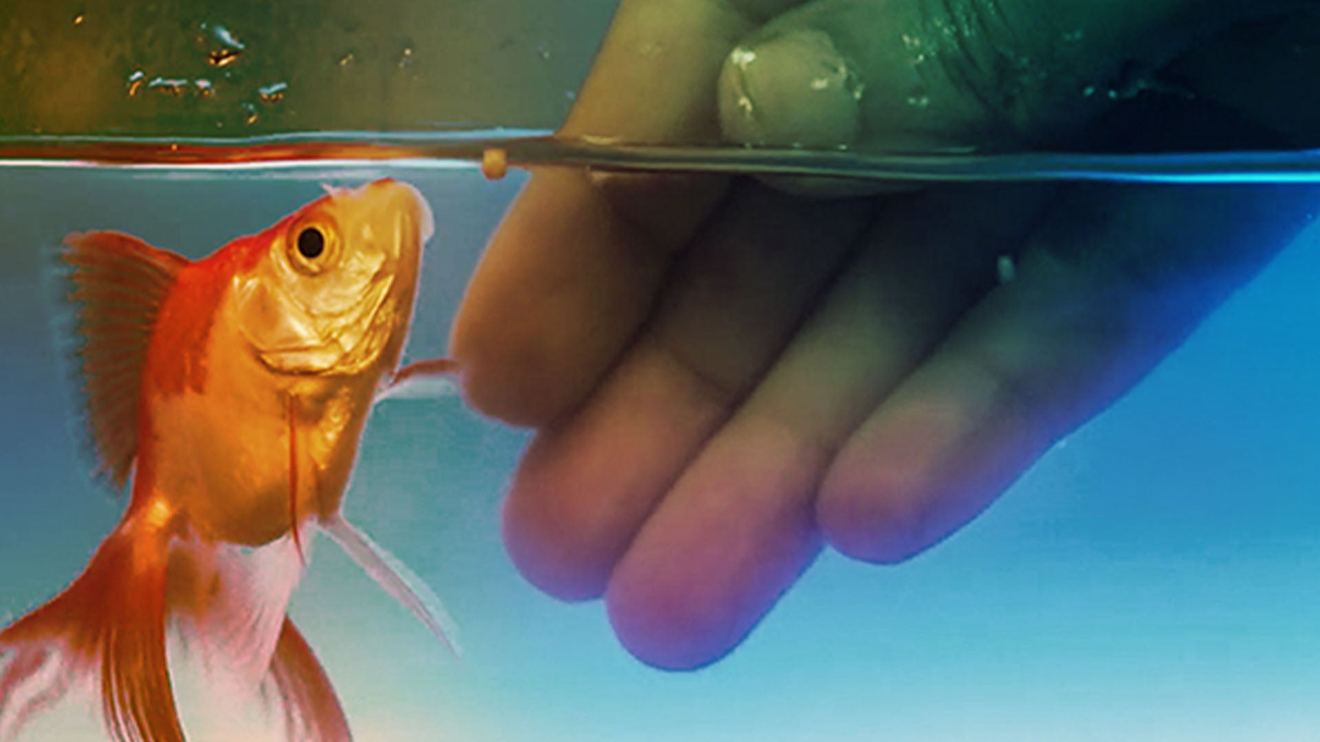 Sab Golmaal Hai (Hindi) season 1 episode 1 on undefined