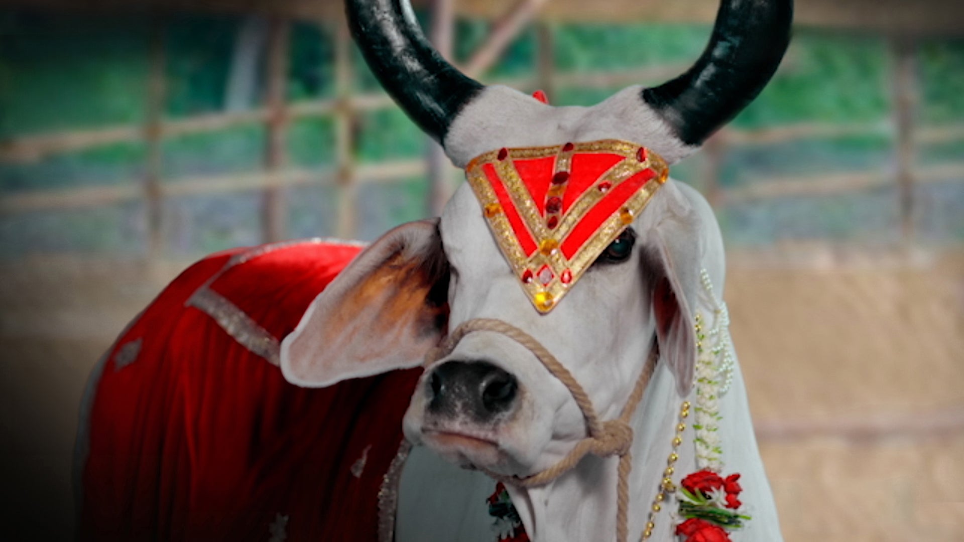 Parshuram season 1 episode 17 on undefined