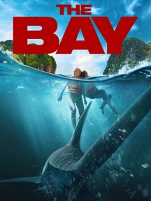 The Bay on LionsGate Play
