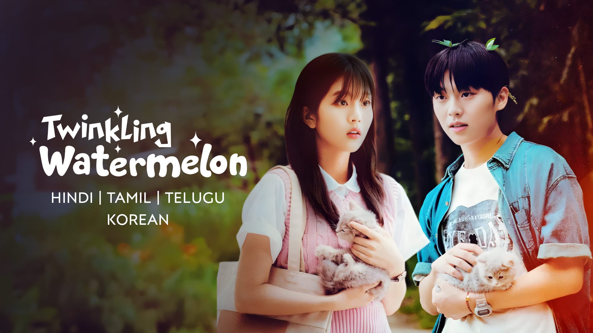 Twinkling Watermelon on undefined