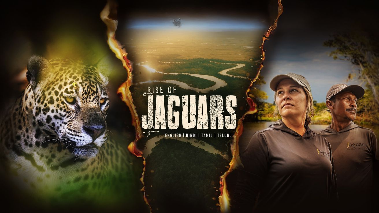 Rise of Jaguars on Discovery Plus