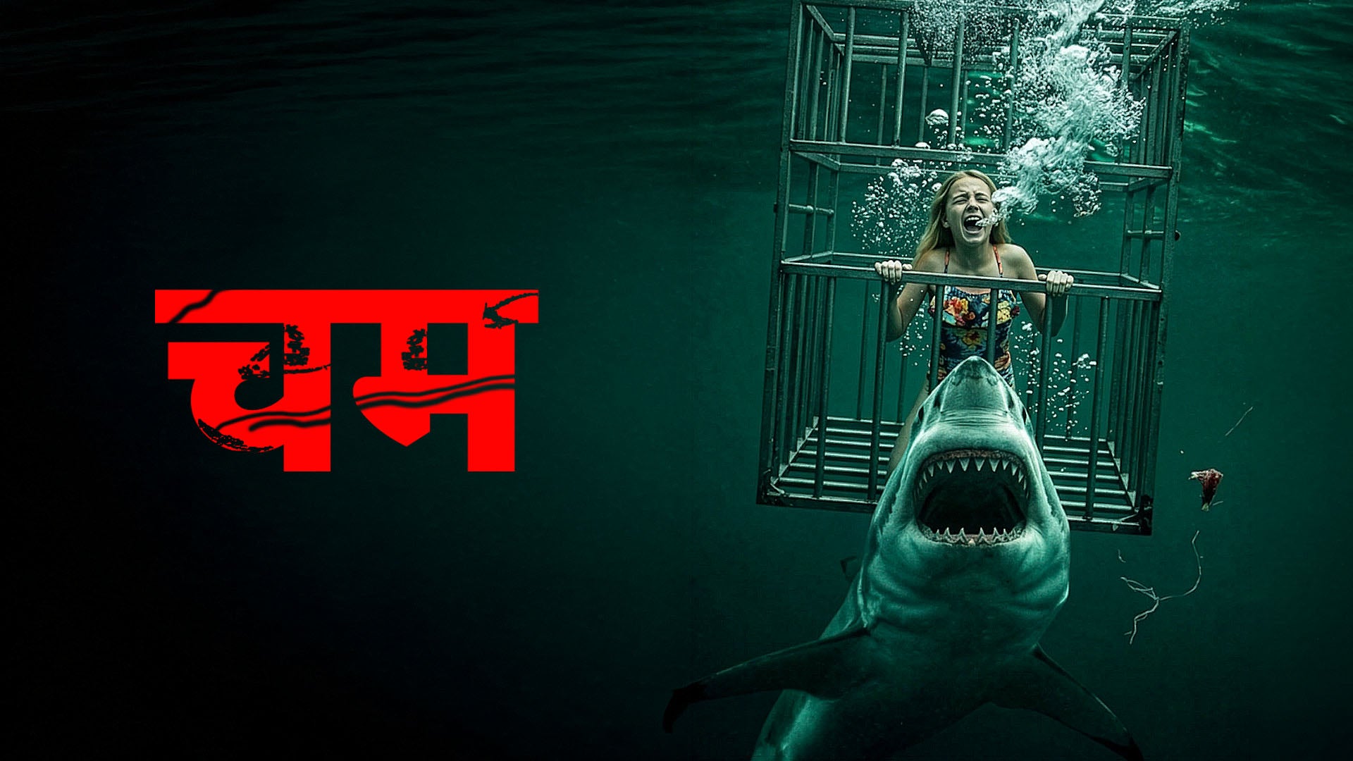 Chum on LionsGate Play